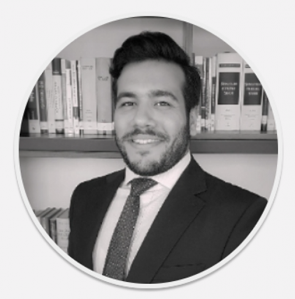 Arş. Gör. Dr. Mehmet Hamza ARSLAN
